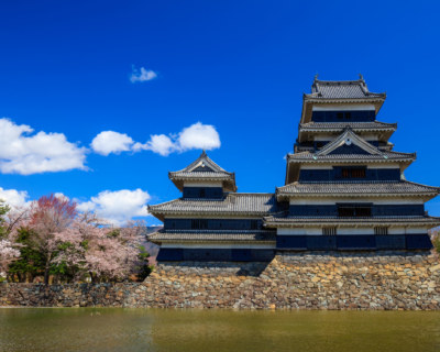 Matsumoto castle in cherry blossom season, Nagano, Japan