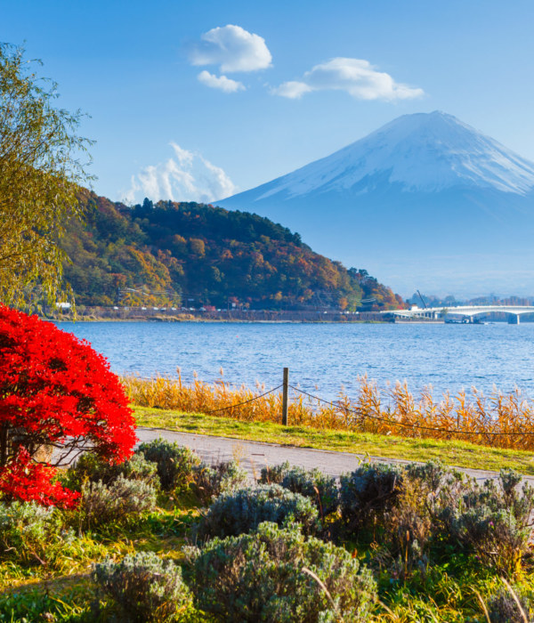 Mt. Fuji in autumn