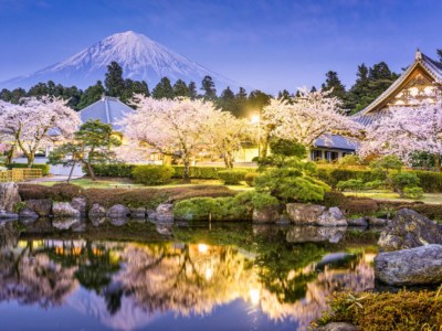 HomePageで準備している画像　桜　湖　富士山 ( ភ្នំហ្វូជិ )Fuji-Hakone-Izu National Park