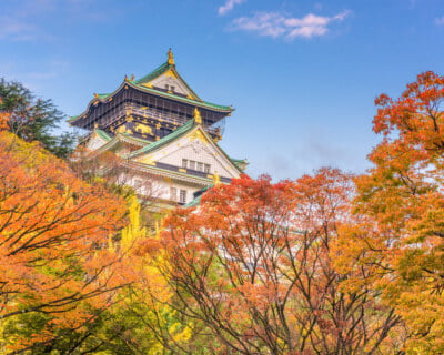 Osaka, Japan at Osaka Castle Osaka, Japan at Osaka Castle's main keep during an autumn morning.