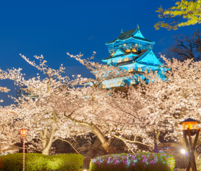 Osaka, Japan at Osaka Castle during spring season at twilight.