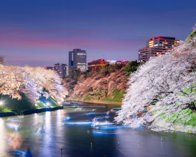 Tokyo, Japan at Chidorigafuchi Imperial Palace Moat in the evening.