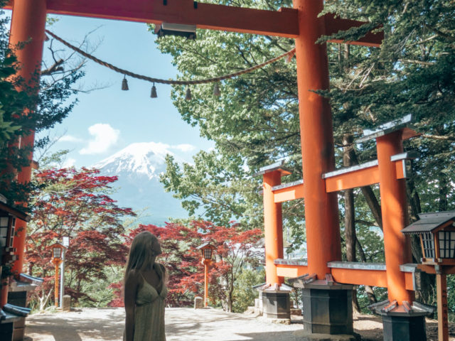 Woman standing near torii gate